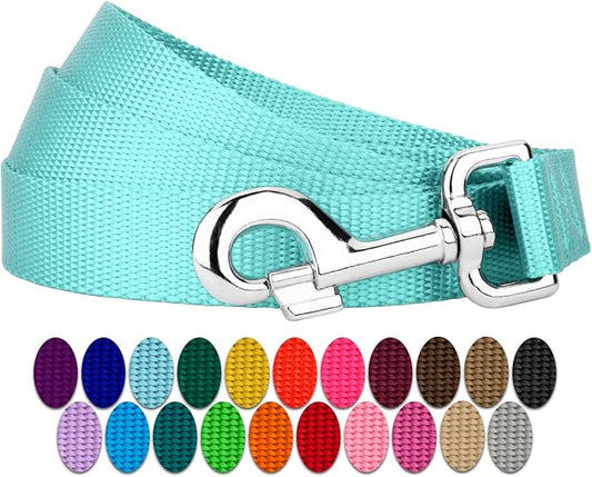 Country Brook Petz - Everyday Nylon Dog Leash - Strong, Durable, Solid Color Leash with Easy to Use Snap - 25+ Colors (1 Inch Wide, 4 Foot, Light Cyan)