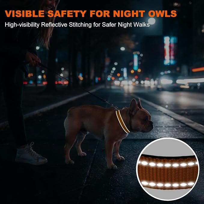 Taglory Reflective Dog Collar for Medium Dogs, Soft Neoprene Padded with Escape-Proof Locking Buckle, Upgraded Zinc Alloy Ring, Adjustable for Walking Female Male, Tan,M