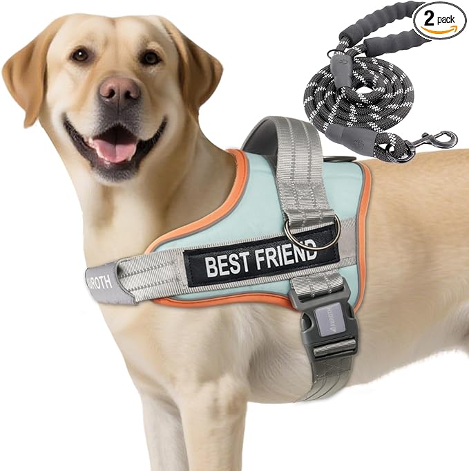 AUROTH Dog Harness and Leash Set, Soft Padded Service Dog Vest with 5.25FT Dog Leash, No Choke, Easy On Pet Vest, Adjustable Reflective No Pull Dog Harness for Large Dogs, Easy Walking and Training
