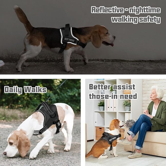 AUROTH Dog Harness and Leash Set, Soft Padded Service Dog Vest with 5.25FT Dog Leash, No Choke, Easy On Pet Vest, Adjustable Reflective No Pull Pet Vest Medium Sized Dog, Easy Walking and Training