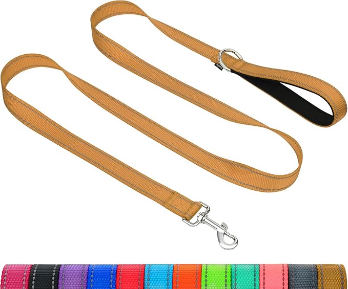 Taglory Dog Leash for Small Dogs, Double-Sided Reflective for Night Walking, Neoprene Padded Handle, 3/4 inch by 5 ft, Lightweight for Small Medium Breeds up to 30 lbs, Tan