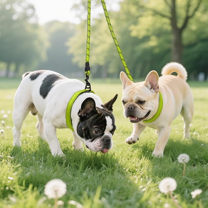 Taglory Double Dog Leash Coupler for Two Dogs, 1/3" Lightweight Dual Leash Extension for Small and Medium Dogs, No Tangle 360° Swivel, Reflective Rope, 30 Inch, Green