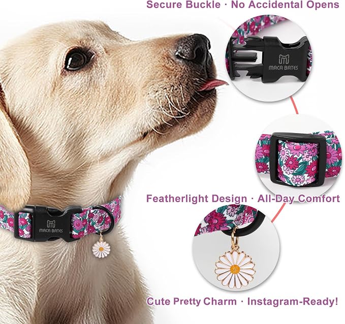 Maca Bates Spring Purple Floral Dog Collar for Dogs with Pretty Daisy Charm and Safety Bcukle Adjustable Durable Soft Basic Collars for Extra Small Dog