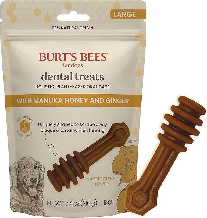 BURT'S BEES FOR PETS Dental Treats for Dogs with Manuka Honey & Ginger, 98% Natural Origin, Holistic Oral Care, Freshens Breath, Sweet Potato Flavor, Medium/Large Size, 5 ct, 7.4 Oz