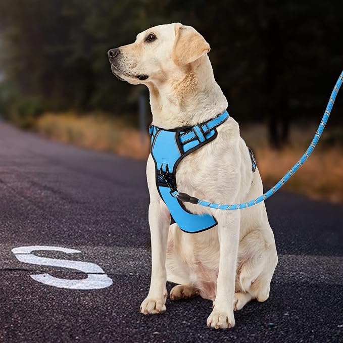 IVY&LANE No Pull Dog Harness for Small Dogs, Dog Vest Harness with Leash, Safety Belt and Storage Strap, Fully Adjustable Harness, 360° Reflective Strip, Soft Handle (Blue, XS)