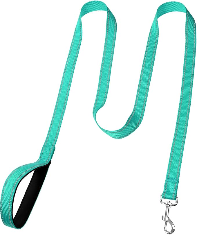 FunTags 6FT Turquoise Reflective Dog Leash for Medium & Small Dogs Walking, Soft Padded Handle Comfortable Grip, Heavy Duty Nylon, Reflective for Night Walking, 3/4in Wide