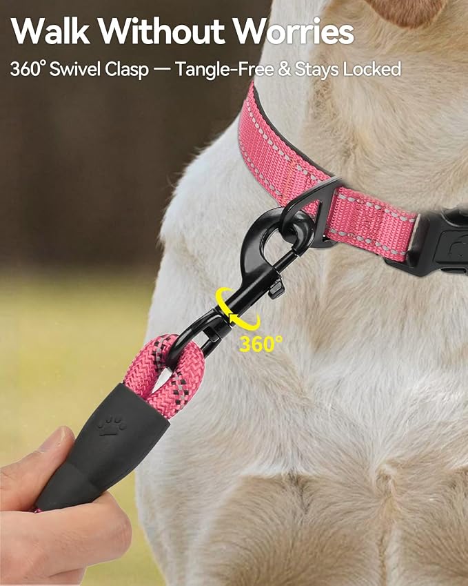 Joytale Dog Leash for Small Dogs, Heavy Duty Nylon Leashes with Comfortable Padded Handle and Highly Reflective Threads, Ideal for Walking and Training, Pink, 6'×3/8''