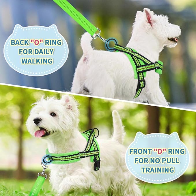 Lukovee No Pull Dog Harness and Leash Set, Soft Padded Small Dog Harness, Neck & Chest Adjustable Reflective Vest Puppy Harness with 4ft Lightweight Anti-Twist Dog Leash for Small Dogs (S, Green)