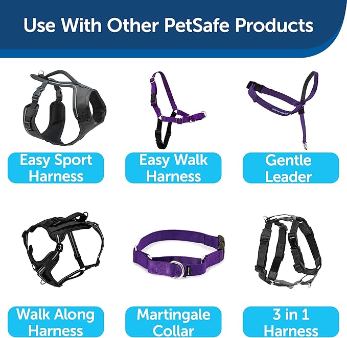PetSafe Nylon Dog Leash - Strong, Durable, Traditional Style Leash with Easy to Use Bolt Snap - 1 in. x 6 ft., Deep Purple