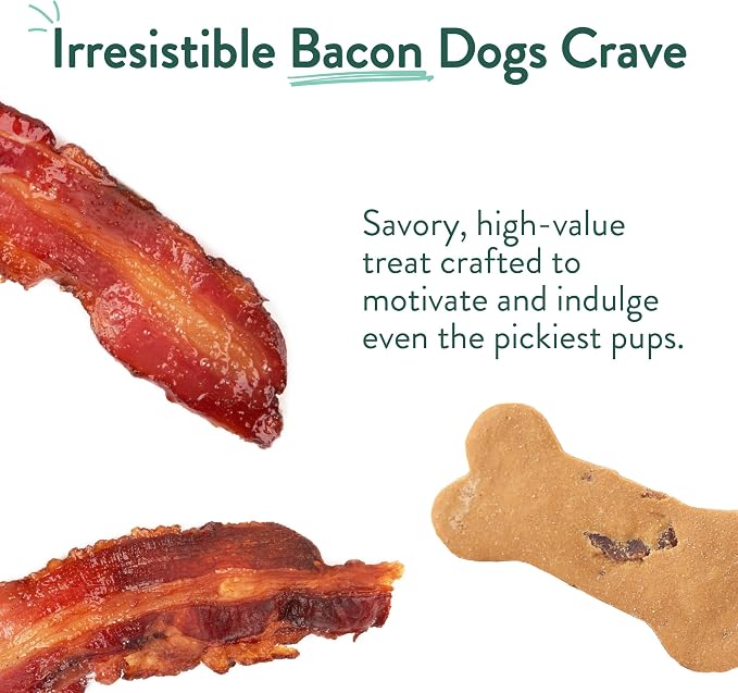 Portland Pet Food Company Bacon Dog Treats Healthy Biscuits for Large Medium & Small Dogs - Grain-Free, Human-Grade, All Natural Cookies, Snacks & Training Treats - Made in The USA - 3 Pack (5 oz)