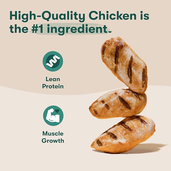 Jinx Oven-Baked Chicken Bone Broth Biscuit Treats, Crunchy, All Natural, Superfood-Rich with Real Chicken, Pumpkin & Blueberries, 16oz (Pack of 2)