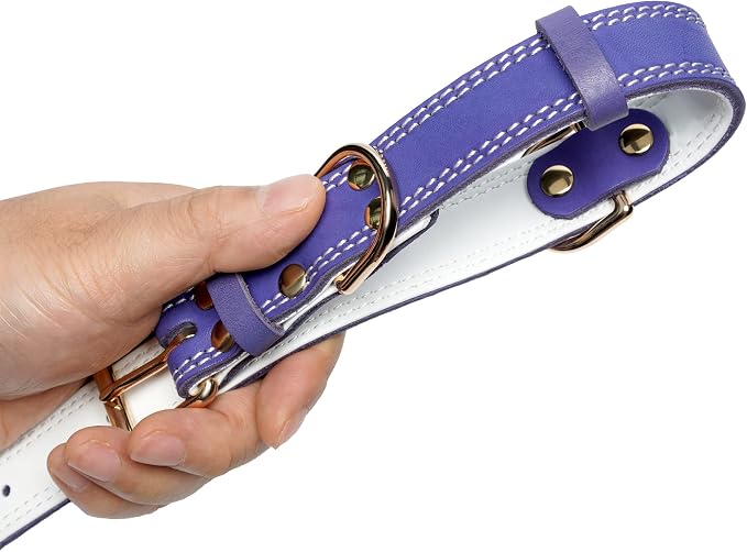 Genuine Leather Dog Collar, Heavy Duty Wide Dog Collar, for Small,Medium, Large and Extra Large Dog (XL: 1.4" Wide for 18.6"-25.8" Neck, Dual Stitch - Purple)