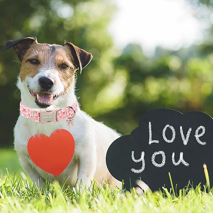 ARING PET Girl Dog Collar, Cute Spring Summer Pink Bow Puppy Pet Collars Necklace for Small Medium Large Female Dogs-S