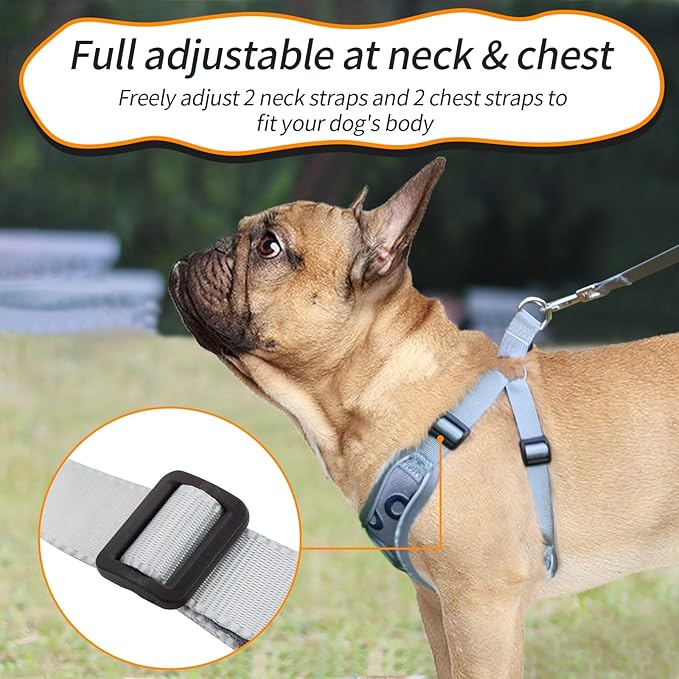 Dog Harness with Leash Set, Adjustable Step in Dog Harness with Breathable Padded Vest for Small Training (XS, Gray with Circle)