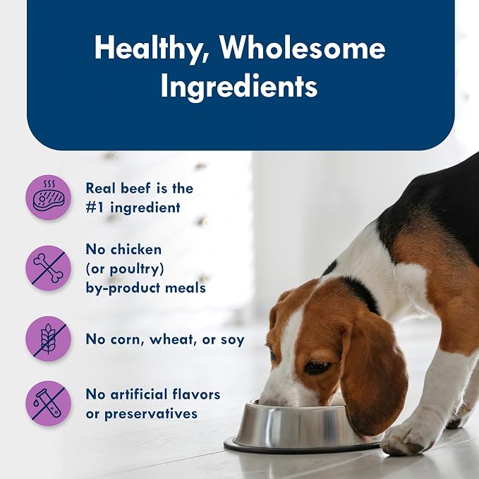 Blue Buffalo Delights Natural Adult Small Breed Wet Dog Food Cups, Pate Style, Top Sirloin Flavor in Savory Juice 3.5-oz (Pack of 12)