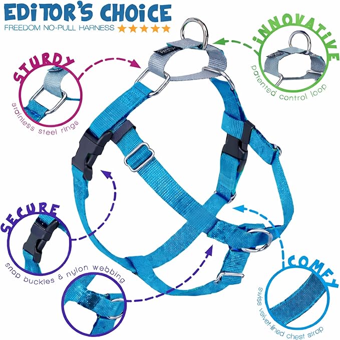 2 Hounds Design Freedom No Pull Dog Harness, Adjustable Harness and Leash Set, Easy Walking & Comfortable Control, Fits Small, Medium & Large Dogs, Solid Colors, Made in USA, 1" LG, Turquoise