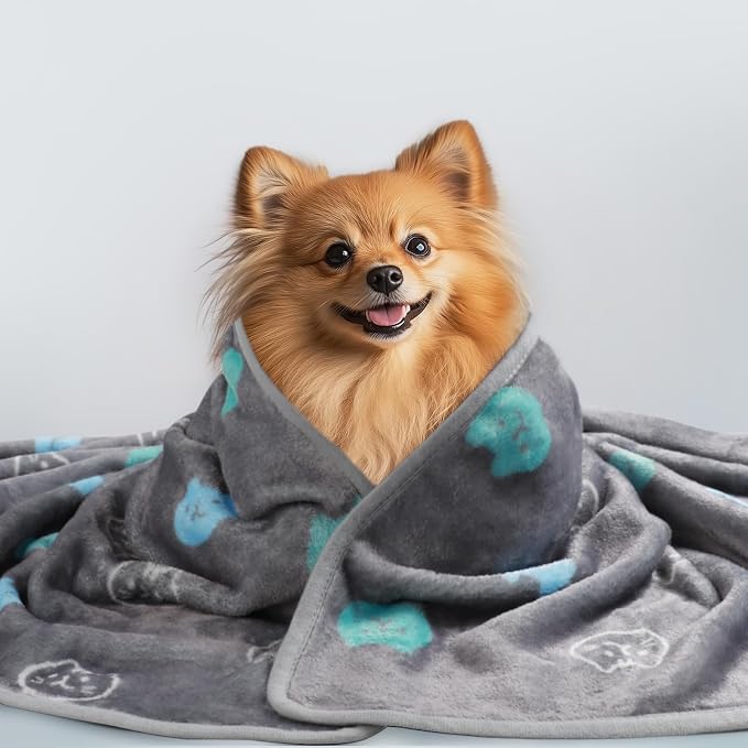 1 Pack 3 Blankets Super Soft Fluffy Premium Cute Cat Pattern Pet Blanket Flannel Throw for Dog Puppy Kitten Blue/Cyan/Grey Large(41x31 inch)