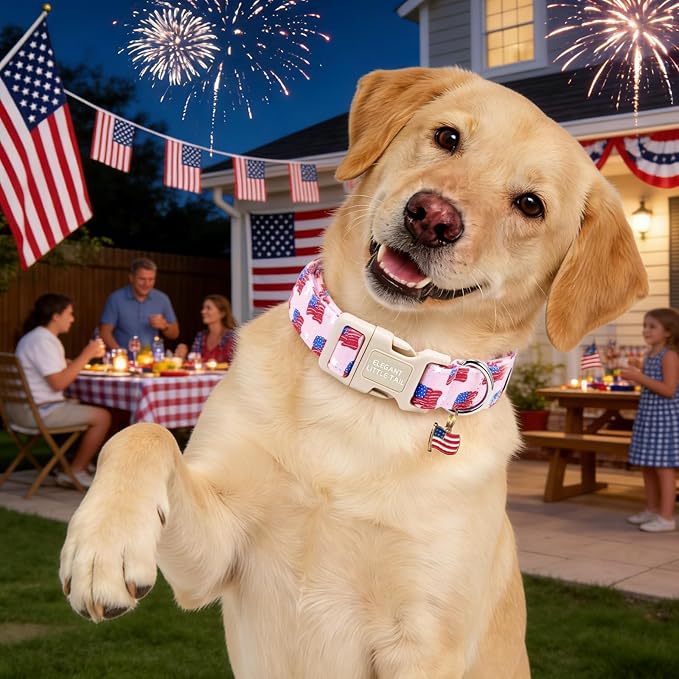 Elegant Little Tail 4th of July Dog Collar with Pendant, Pink Stars & USA Flag Pattern Cotton, Sturdy Quick-Release Plastic Buckle, Girl Adjustable Pet Collar for X-Small Dogs