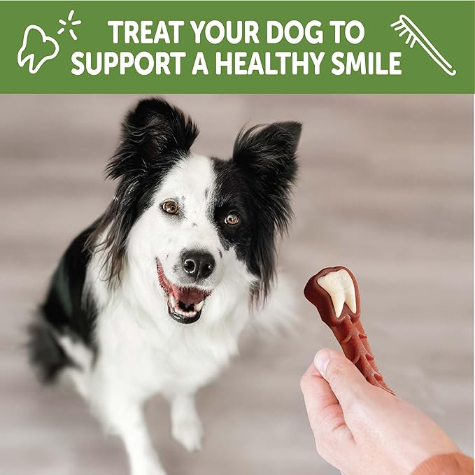 Whimzees Wellness Brushzees Natural Dog Dental Treat, VOHC Accepted Chews, Freshens Breath, Medium Size, 12.7 oz Bag, 12 Count