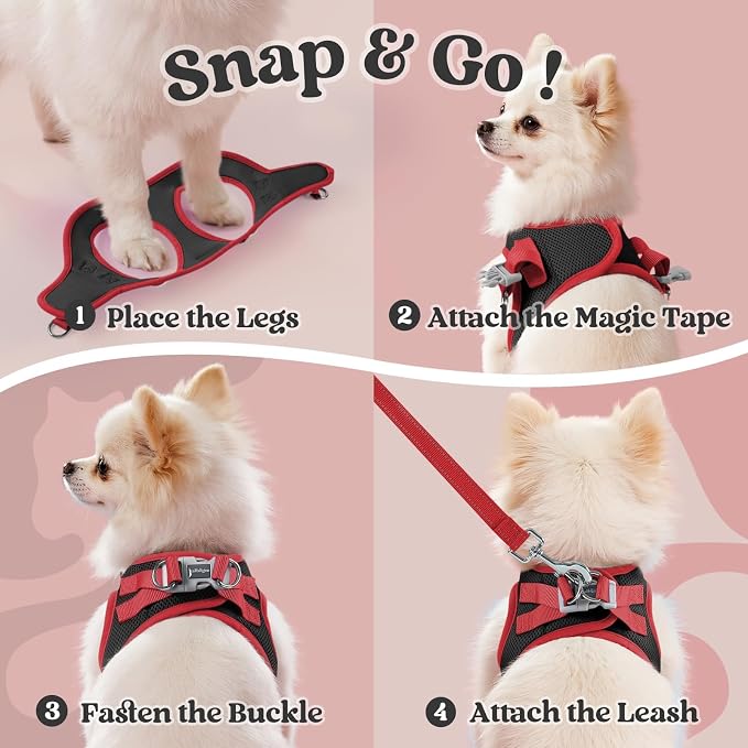 rabbitgoo Dog Harness Small Sized and Leash Set, Step-in Breathable Pet Harness, Soft Walking Reflective Puppy Vest for Small Dogs, Black & Red, L