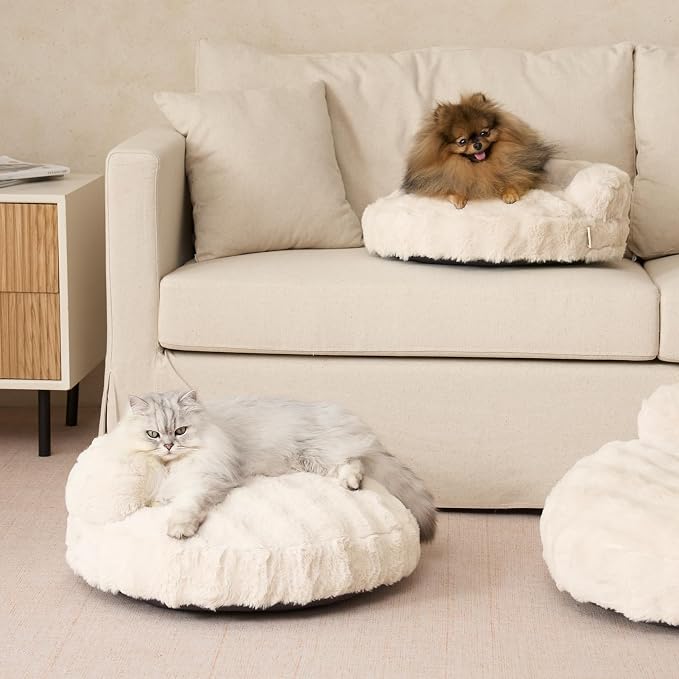 EHEYCIGA Soft Cat Couch Bed for Indoor Cats, Fluffy Extra Small Dog Bed with Removable Washable Cover, Bolster Pet Sofa, Waterproof and Non-Slip, 20" x 20"x 6.5", Cream