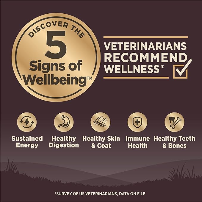 Wellness CORE Adult Dry Dog Food, Grain Free Kibble, Natural, High Protein, Turkey and Chicken Recipe, 35 lb Bag