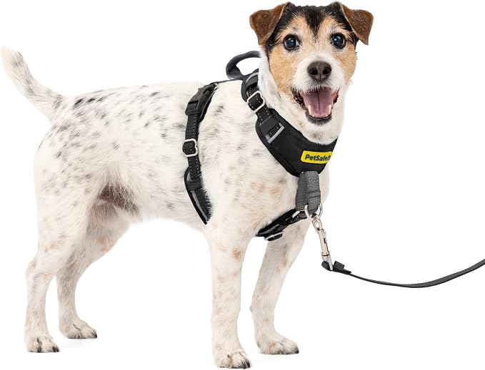 PetSafe Easy Walk Comfort No-Pull Dog Harness Full-Body Padding - Better Walks on the First Use - 5 Points of Adjustment Small, Black