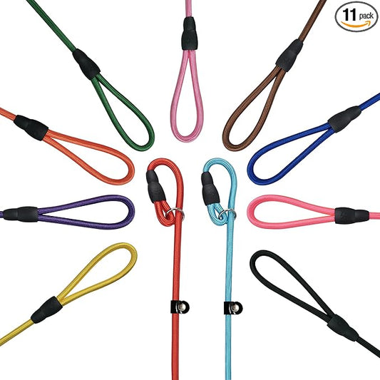 FOVRLZSE Nylon Dog Leash 11-Pack (11 Assorted Colors), 4.6FT for Small to Medium Dogs, 10mm Braided Nylon with TPU Non-Slip Buckle, Daily Walking & Puppy Training