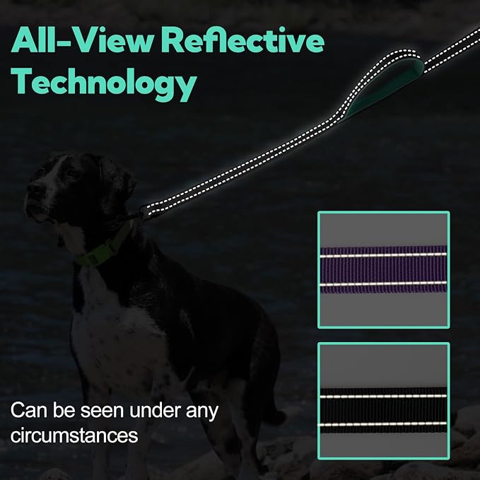 2-Handle Dog Leash Heavy Duty, Traffic Control & Night Safety Reflective Lead for Mid Large Dogs, Comfort Padded Grip Dog Leashes for Walking and Training(6 FT x 1" Wide, Black+ Teal)