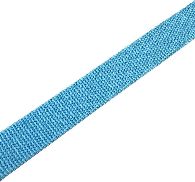 TAIAN 4FT/5FT/6FT Strong Dog Leash, Nylon Dog Leashes for Small Medium Large Dogs (Blue, 1 in x 15 ft)