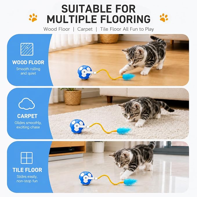 Interactive Cat Toys with Feather Tail, 3 in 1 Automatic Moving Cat Ball, USB Rechargeable Smart Rolling Pet Toy with Obstacle Avoidance for Indoor Cats, Kittens & Small Dogs