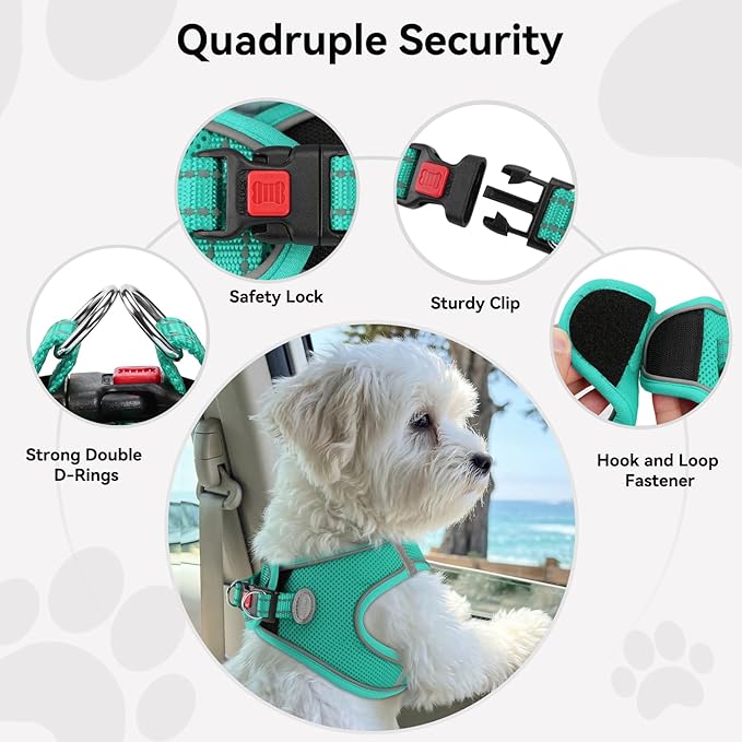 Joytale Small Dog Harness, Breathable Mesh Step-in Vest, Reflective Soft Padded Harnesses for Cats, Puppies and Extra Small Dogs, Teal, XXS