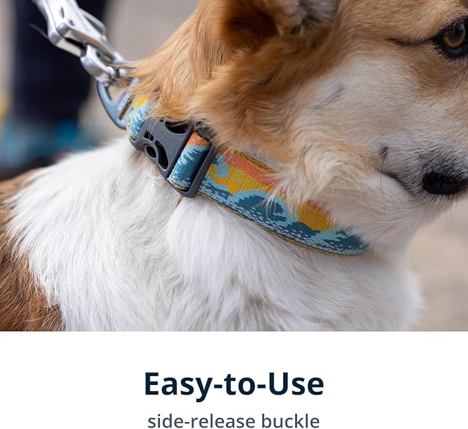Ruffwear, Crag Dog Collar, Stylish Adventure Collar with Premium Reflective Design, Quick Release Buckle, Lightweight All-Day Comfort, Canyon Oxbow, 14"-20"