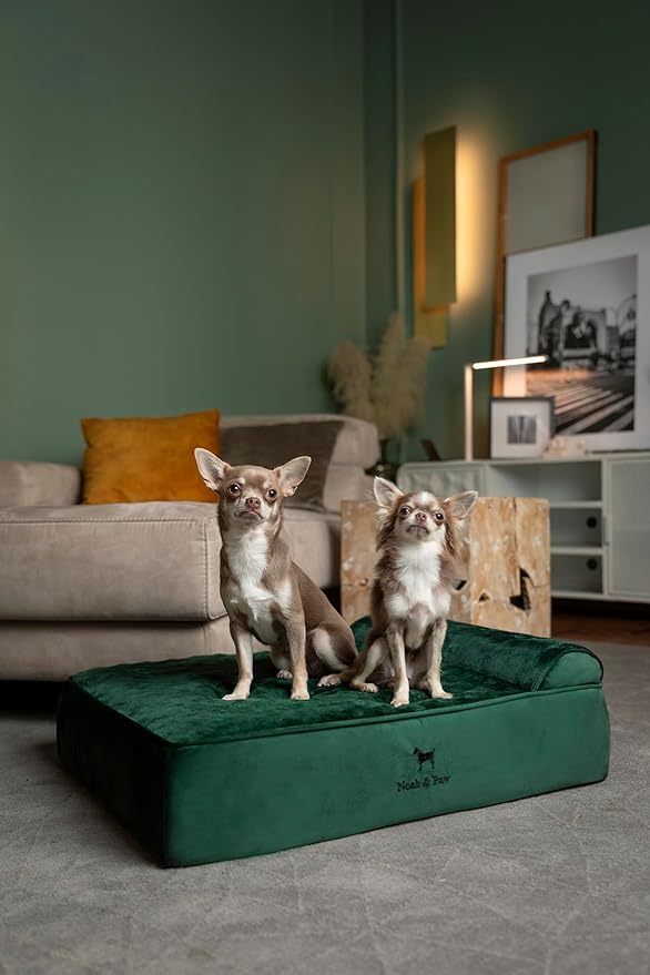 NOAH & PAW Dog Bed, 28x23x7.5 Inch, Orthopedic Dog Beds for Medium Size Pets, Eggshell Memory Foam Infused with Cooling Gel, Water Resistant, Machine Washable, Includes Inner Cover (Velvet Collection)