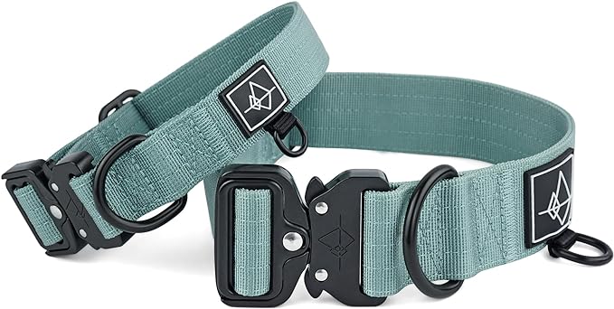 Made to ROAM Premium Dog Collar - Adjustable Heavy Duty Nylon Collar with Quick-Release Metal Buckle (Florida Seaside, Classic Size 5)