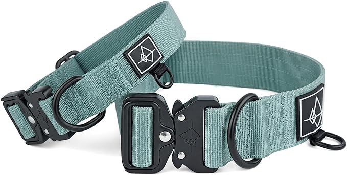 Made to ROAM Premium Dog Collar - Adjustable Heavy Duty Nylon Collar with Quick-Release Metal Buckle (Florida Seaside, Classic Size 2)