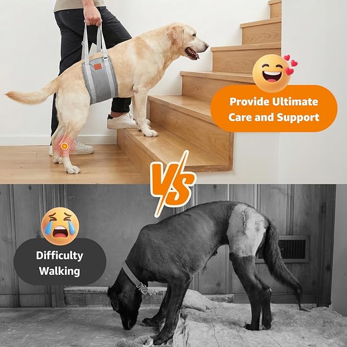 LOOBANI Dog Sling for Large Dogs Hind Leg Support, Portable Dog Lift Harness for Back Legs, Comfortable Leg Support Assistance for Elderly Dogs with Hip, ACL Brace, Senior, Injured