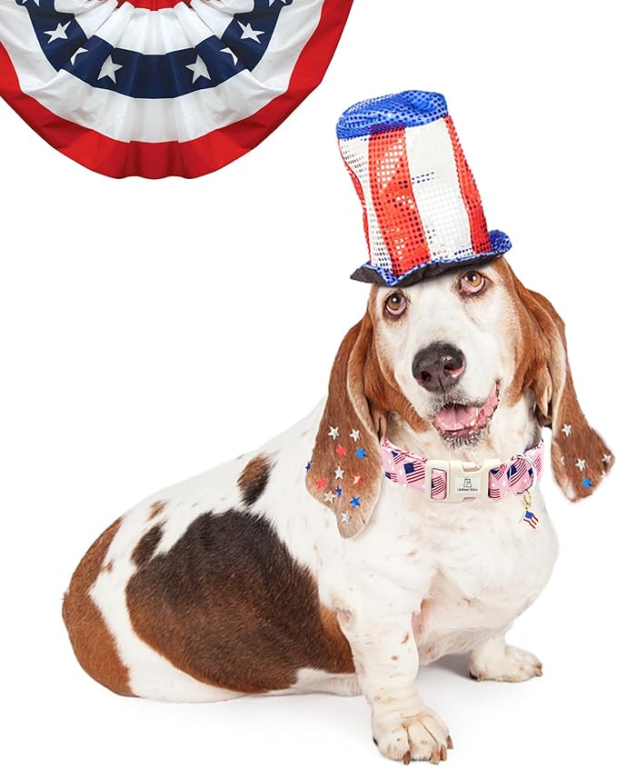 Lionheart glory American Flag Dog Collar, 4 of July Patriotic Independence Dog Collar Heavy Duty Adjustable Collars for Large Dogs Pet Gift Summer Collars