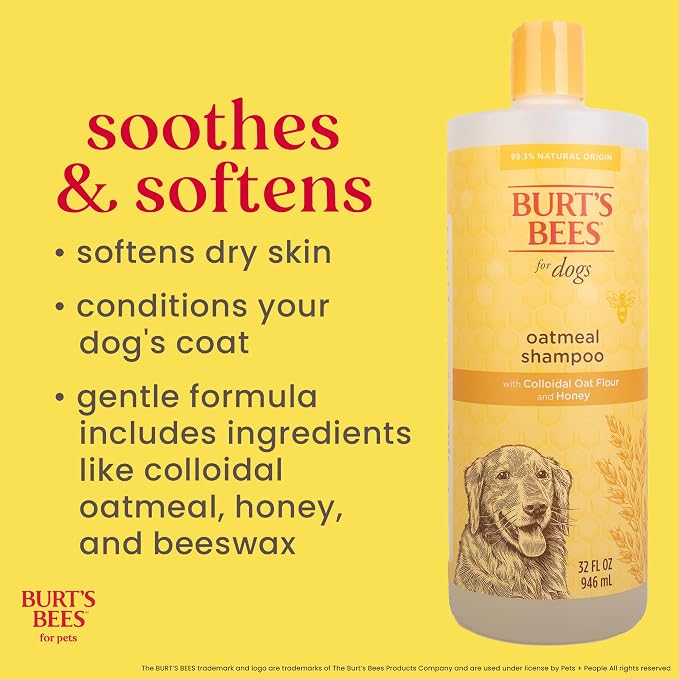 Burt’s Bees for Pets Oatmeal Dog Shampoo with Honey, Soothing Dog Shampoo for Itchy and Sensitive Skin, pH Balanced Formula that Gently Cleans and Moisturizes Dog Coats, 32 Fl Oz - 2 Pack