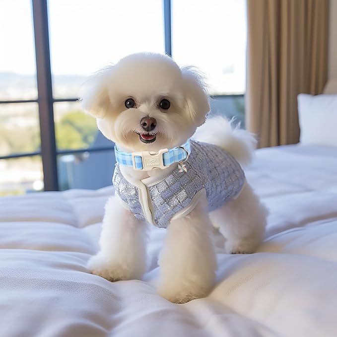 Boy Dog Collar Blue Gingham Dog Collars for Medium Dogs - Lightweight Adjustable Spring/Summer Plaid Male Female Dogs Everyday Collar with Safety Buckle M