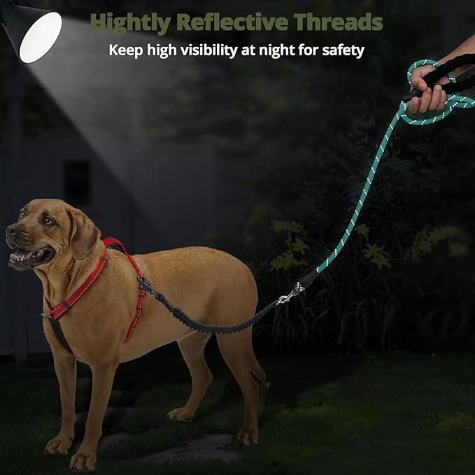 jenico Long Dog Leash 20FT: 3/8'' Heavy Duty Rope Leashes for Dogs Training with Lockable Hook Reflective Threads Bungee and Padded Handle - Dog Lead for Large Small Medium Dogs Outside Walking