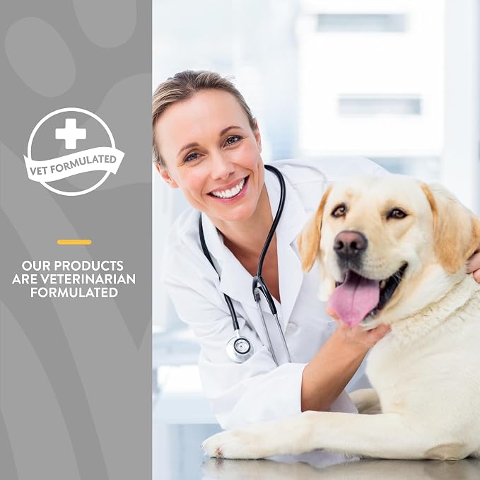 NaturVet Quiet Moments Calming Aid Dog Supplement, Helps Promote Relaxation, Reduce Stress, Storm Anxiety, Motion Sickness for Dogs (Quiet Moments Senior Wellness, 65 Soft Chews)