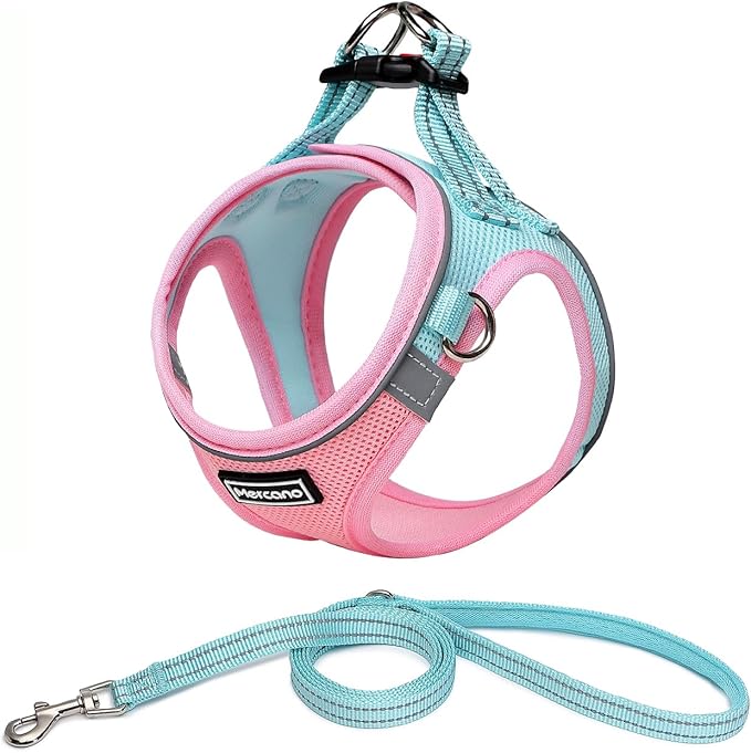 Mercano Soft Mesh Dog Harness and Leash Set, Step-in Reflective Breathable Lightweight Vest Harnesses with Safety Buckle for Small Dogs, Cats (L, Pink Blue)