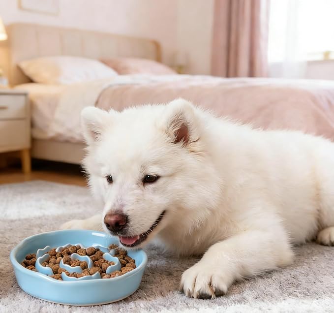 Pet Feeding Bowls, Ceramic Slow Feeder Dog Bowl - Heavy Weighted Blue Bloom Food Dish for Small to Medium Dogs - Non-Slip, Microwave & Dishwasher Safe Pottery Maze to Fast Eating