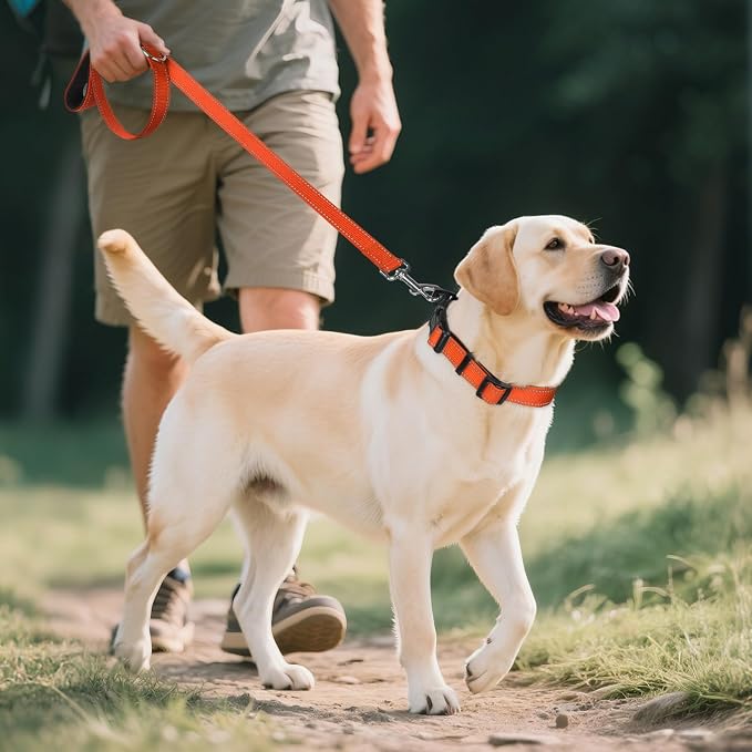 Joytale Reflective Dog Collar, Soft Neoprene Padded, Metal D-Ring, Nylon Pet Collar Adjustable for Large Dogs, Orange, L