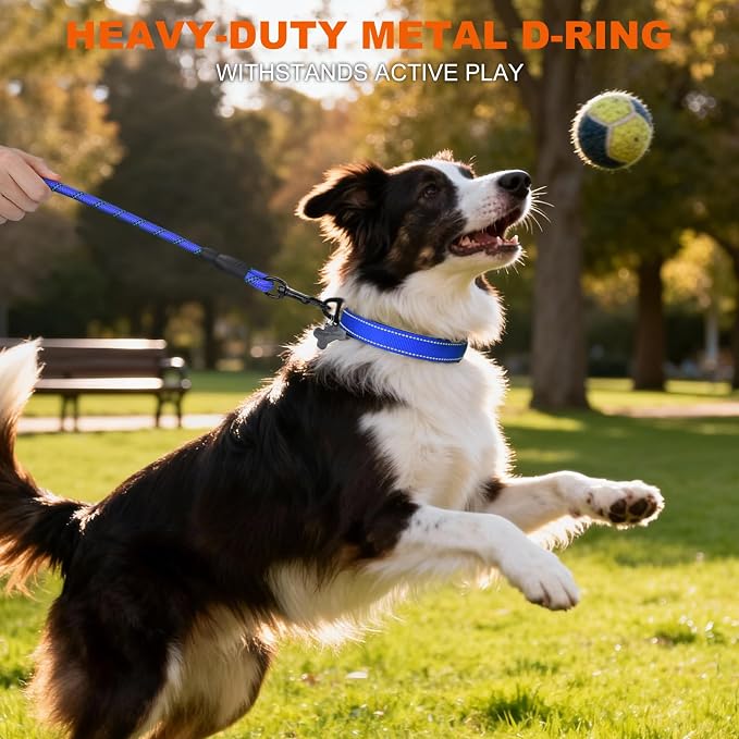 Taglory Reflective Dog Collar for Medium Dogs, Soft Neoprene Padded with Escape-Proof Locking Buckle, Upgraded Zinc Alloy Ring, Adjustable for Walking Female Male, Blue,M