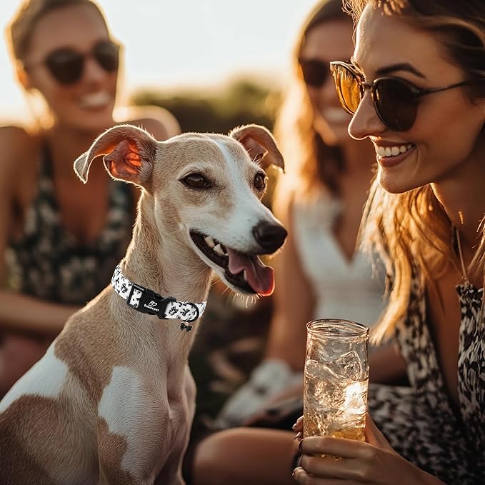 Girl Dog Collar Black Bow Dog Collars for Small Dogs - Lightweight Adjustable Chic Sweet Spring Female Dogs Everyday Collars with Safety Buckle S
