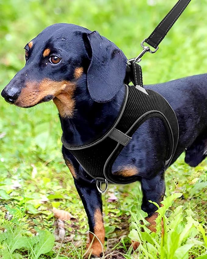 Joytale Small Dog Harness, Breathable Mesh Step-in Vest, Reflective Soft Padded Harnesses for Small and Medium Dogs, Black, M