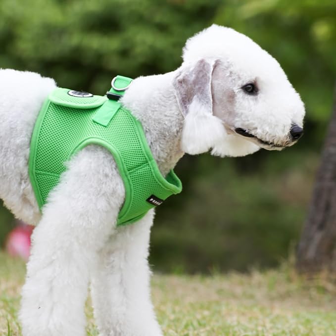 PUPPIA International PUAH305GR3L Soft Vest Harness, 3X-Large
