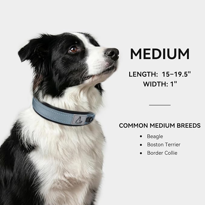 Joytale Dog Collar for Medium Dogs, Neoprene Padded and Adjustable, Reflective Wide Heavy Duty Pet Collars with Durable Metal Belt Buckle for Walking, Gray, M